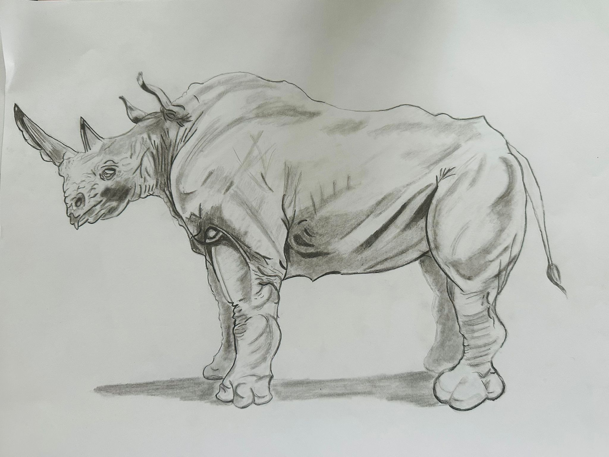 Tekencursus voor kinderen vanaf 9 jaar - Afbeelding 9