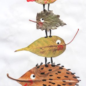 Herfstcursus
